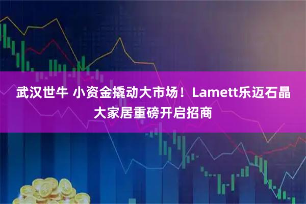 武汉世牛 小资金撬动大市场！Lamett乐迈石晶大家居重磅开启招商