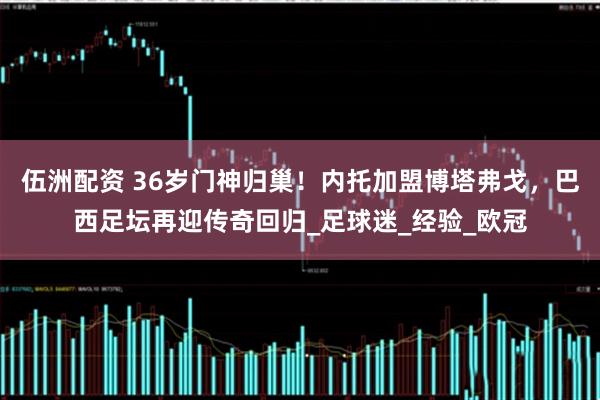 伍洲配资 36岁门神归巢！内托加盟博塔弗戈，巴西足坛再迎传奇回归_足球迷_经验_欧冠